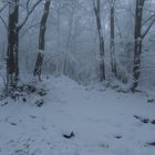 Winter am Ölberg