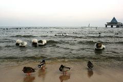 Winter am Ostseestrand