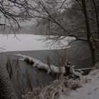 Winter am Papillensee...