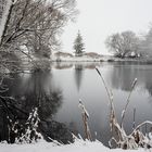 Winter am Pappelteich (1)