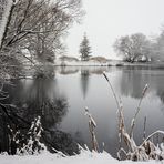 Winter am Pappelteich (1)