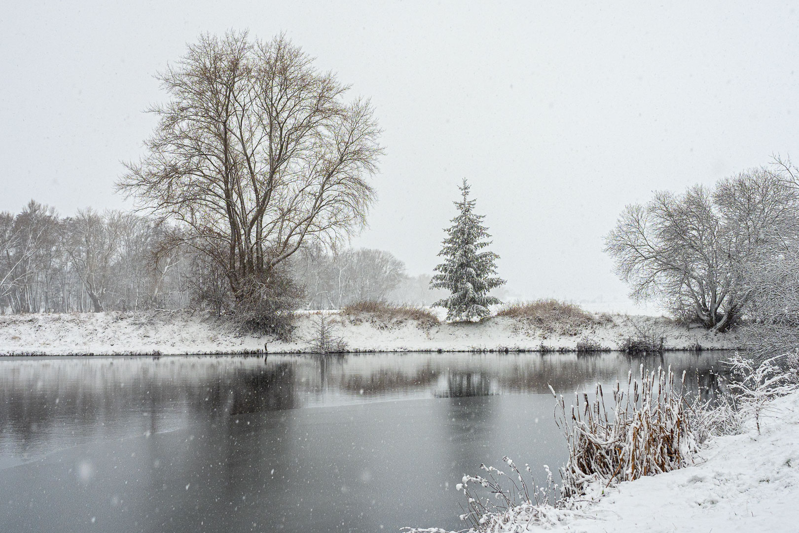 Winter am Pappelteich (2)