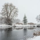 Winter am Pappelteich (2)