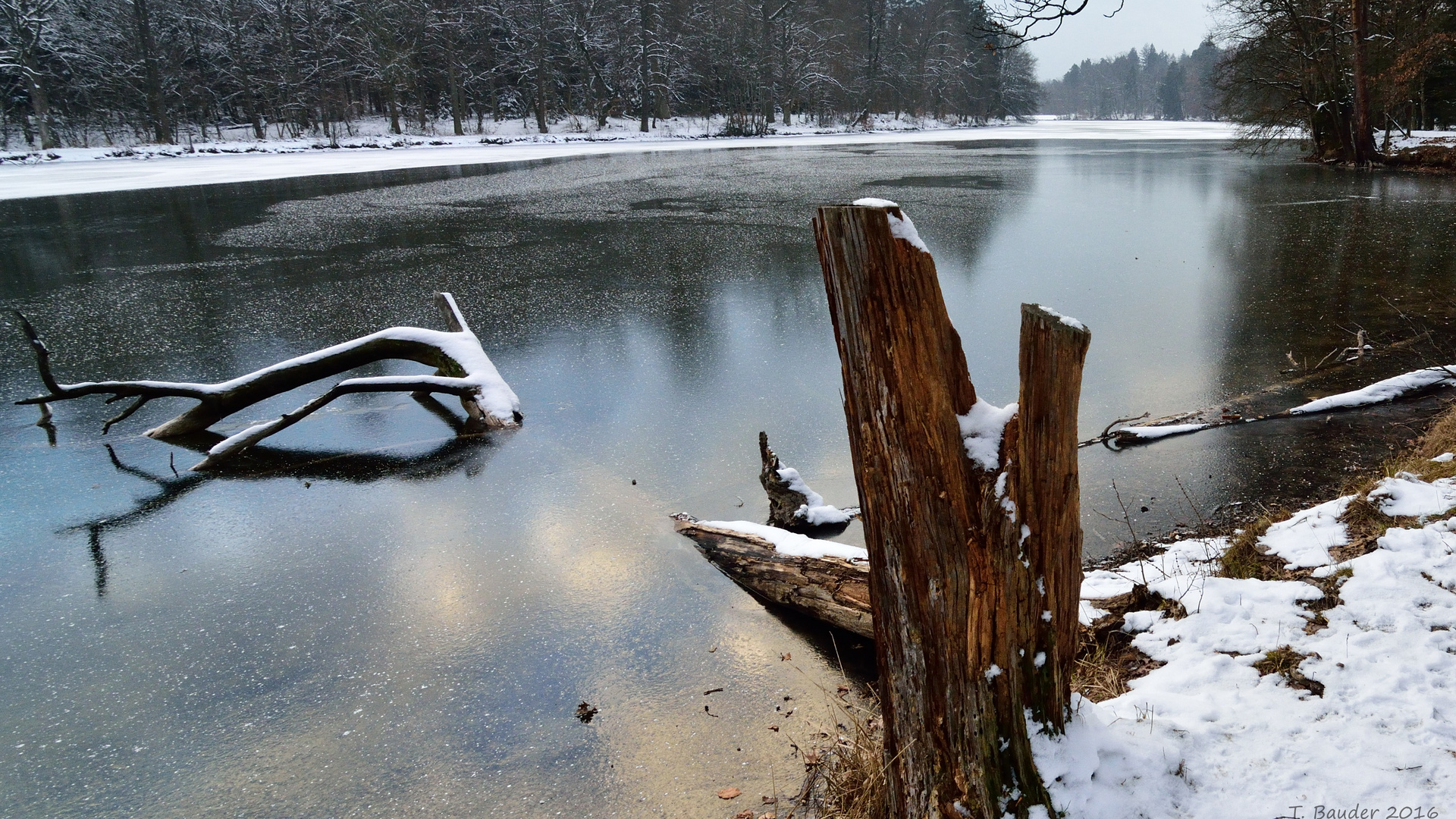 Winter am Pfaffensee bei Stuttgart