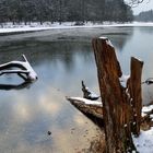 Winter am Pfaffensee bei Stuttgart