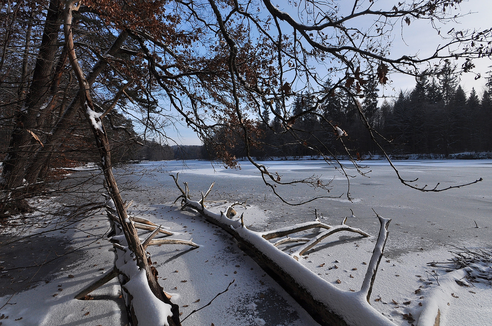 Winter am Pfaffensee in Stuttgart