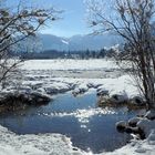 Winter am Pillersee