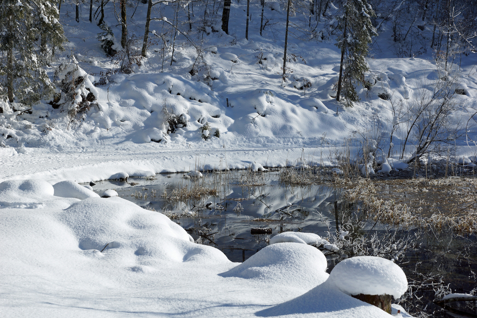 Winter am Pillersee