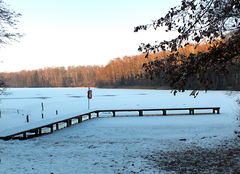 Winter am Pipersee