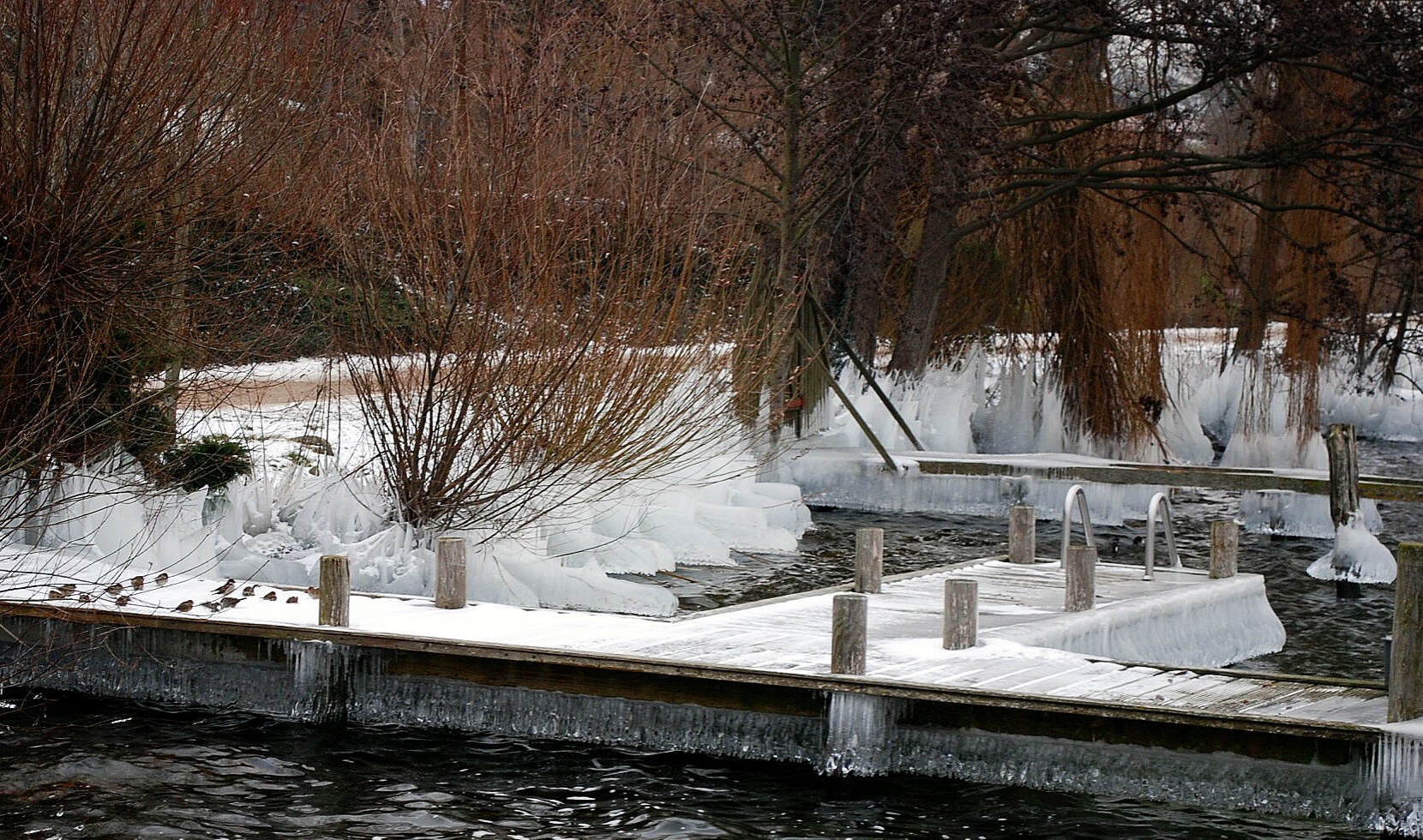 Winter am Plöner See