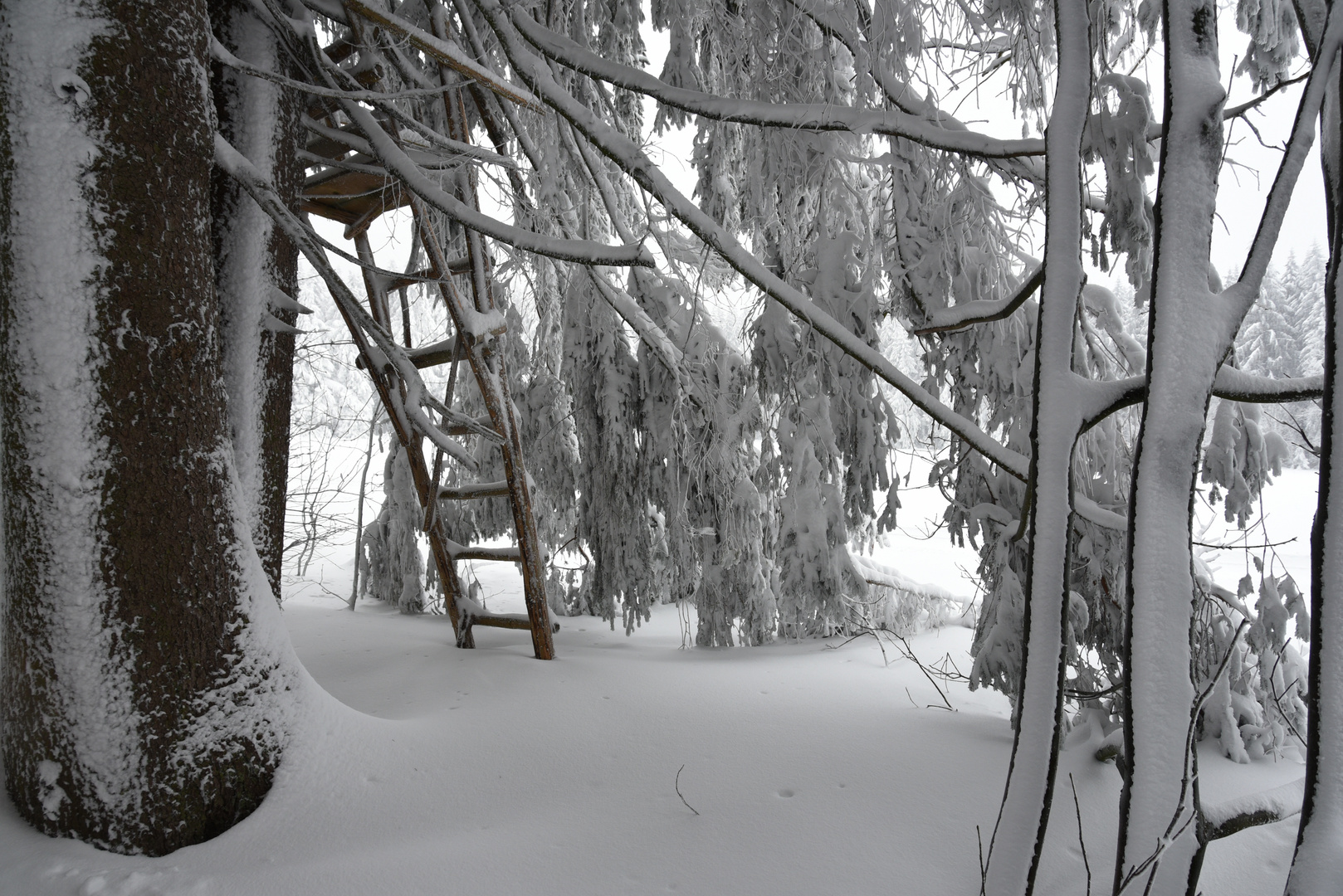 Winter am Predigtstuhl im Januar 2019