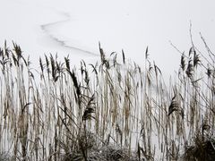 Winter am Prendener See