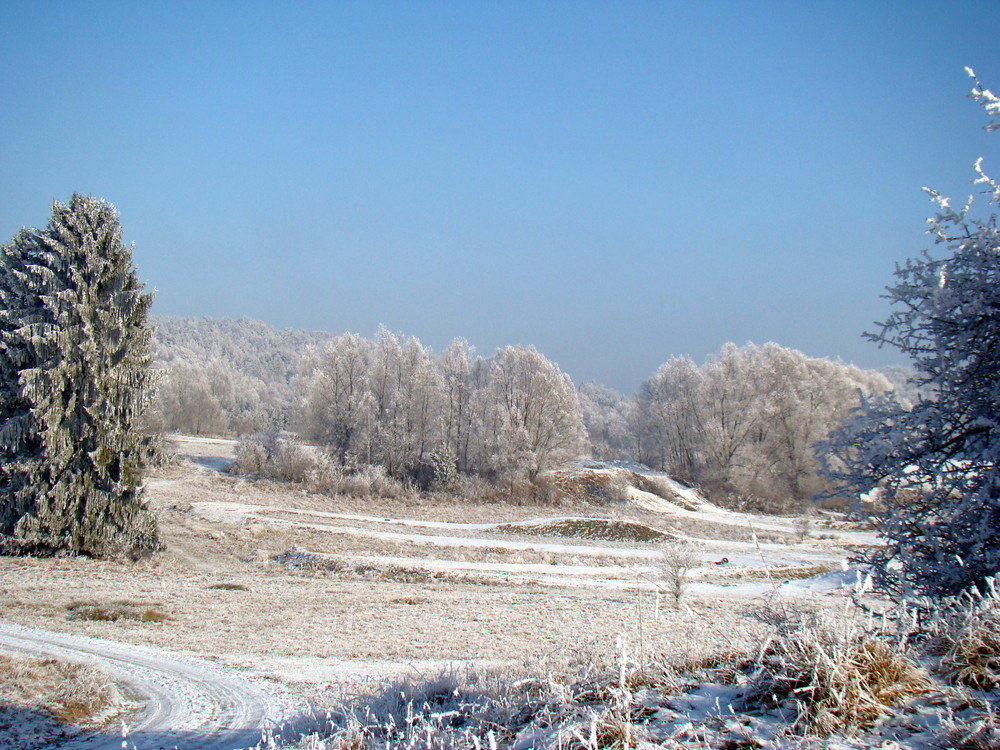 Winter am Rande der Stadt