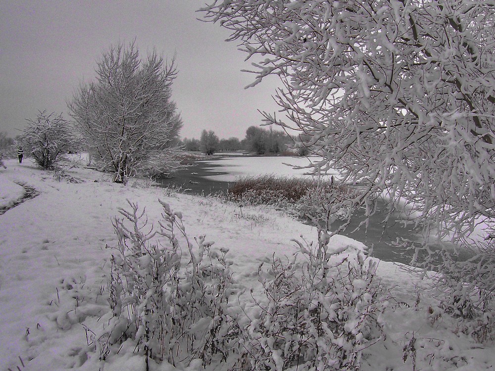 Winter am Rande der Stadt