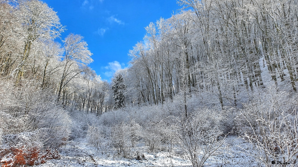 Winter am Randen