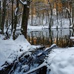 Winter am Reichenbachweiher - I -