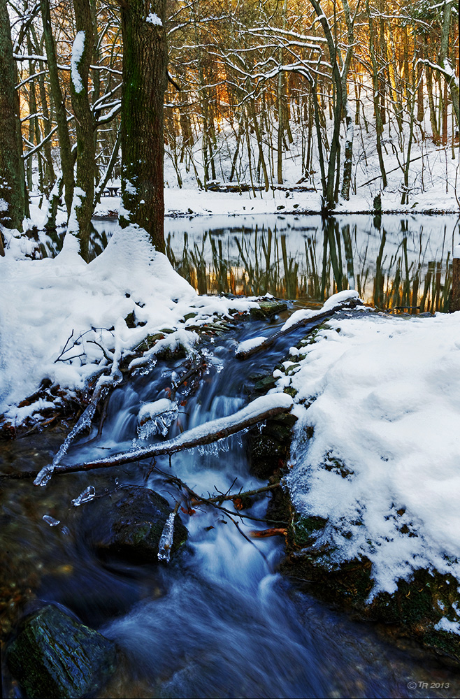 Winter am Reichenbachweiher - II -