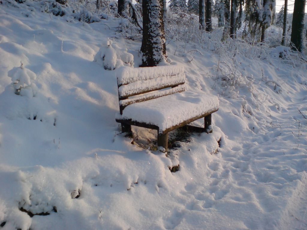 Winter am Rennsteig