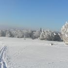 Winter am Rennsteig