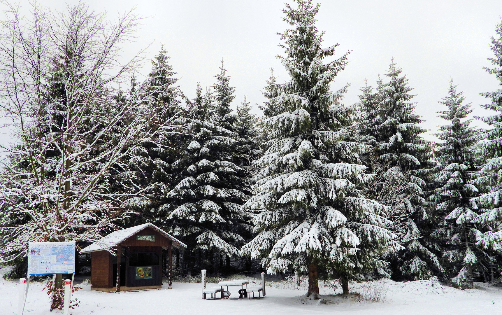 Winter am Rennsteig