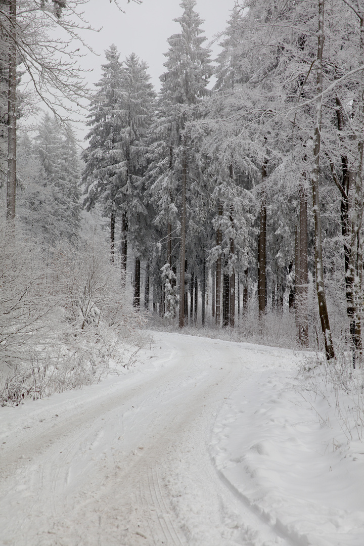 Winter am Rennsteig - Thüringer Wald