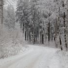 Winter am Rennsteig - Thüringer Wald