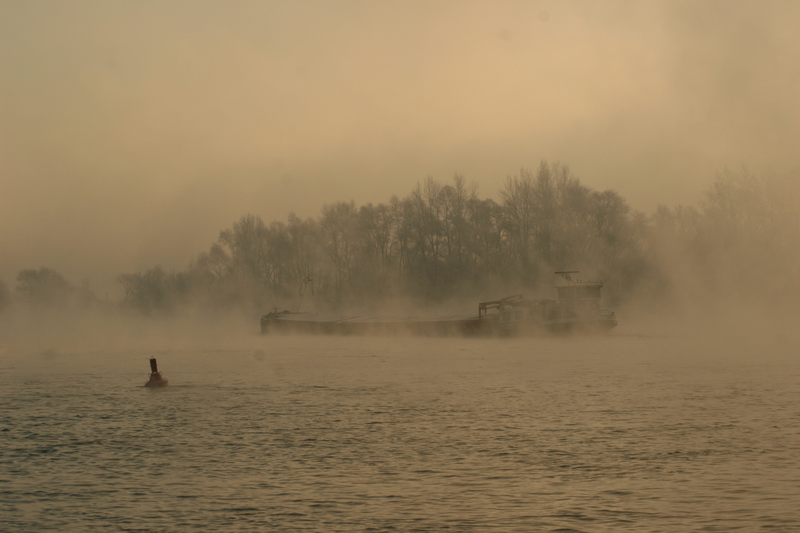 Winter am Rhein