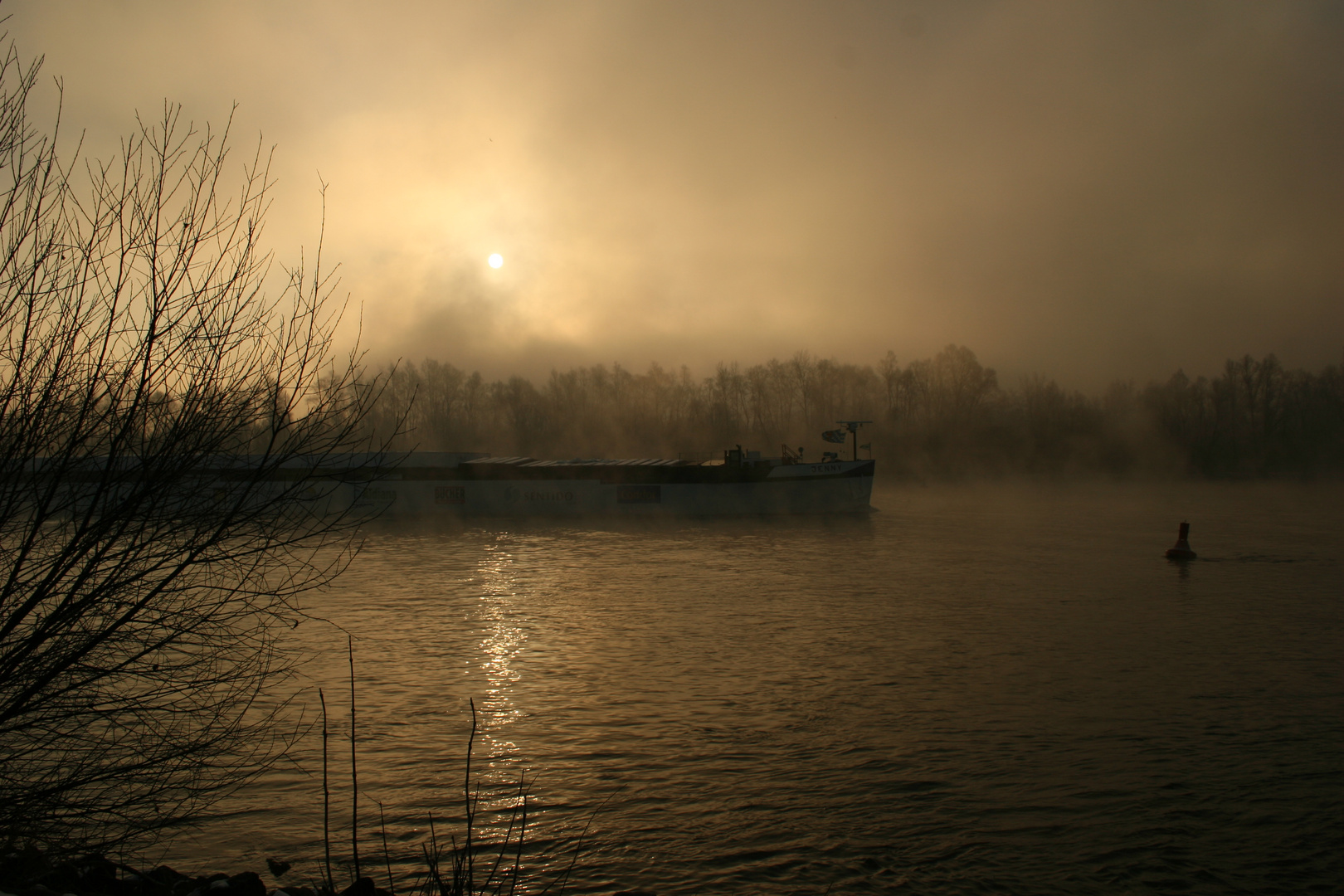 Winter am Rhein 2