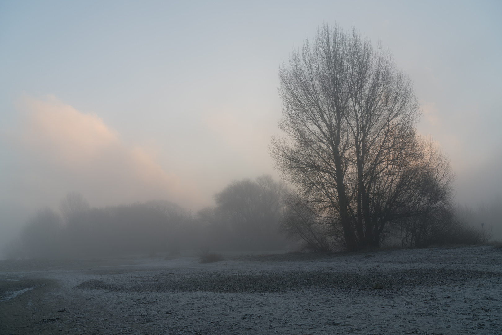 WINTER AM RHEIN 2