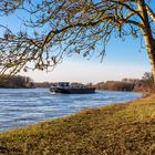 Winter am Rhein