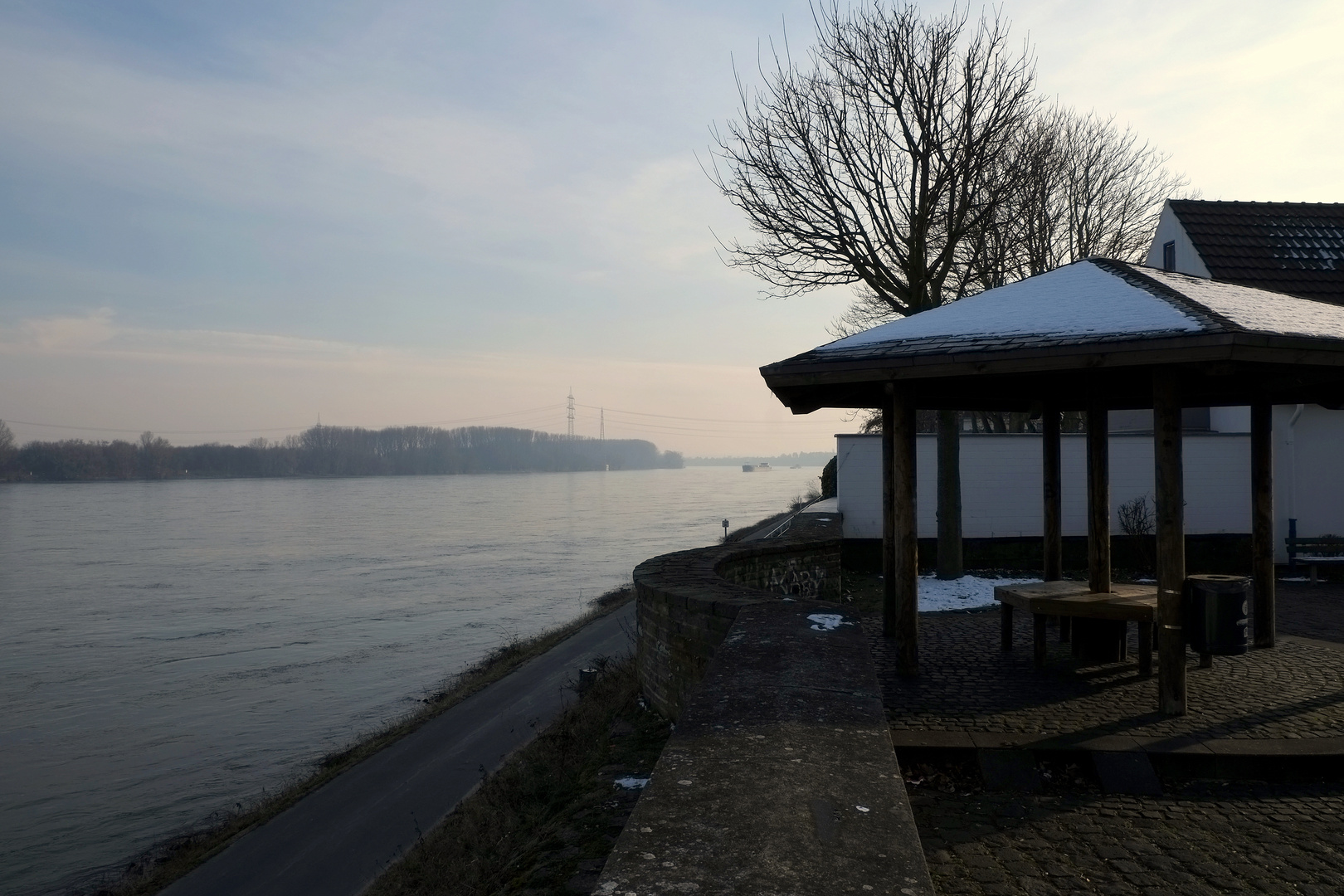 Winter am Rhein