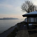 Winter am Rhein