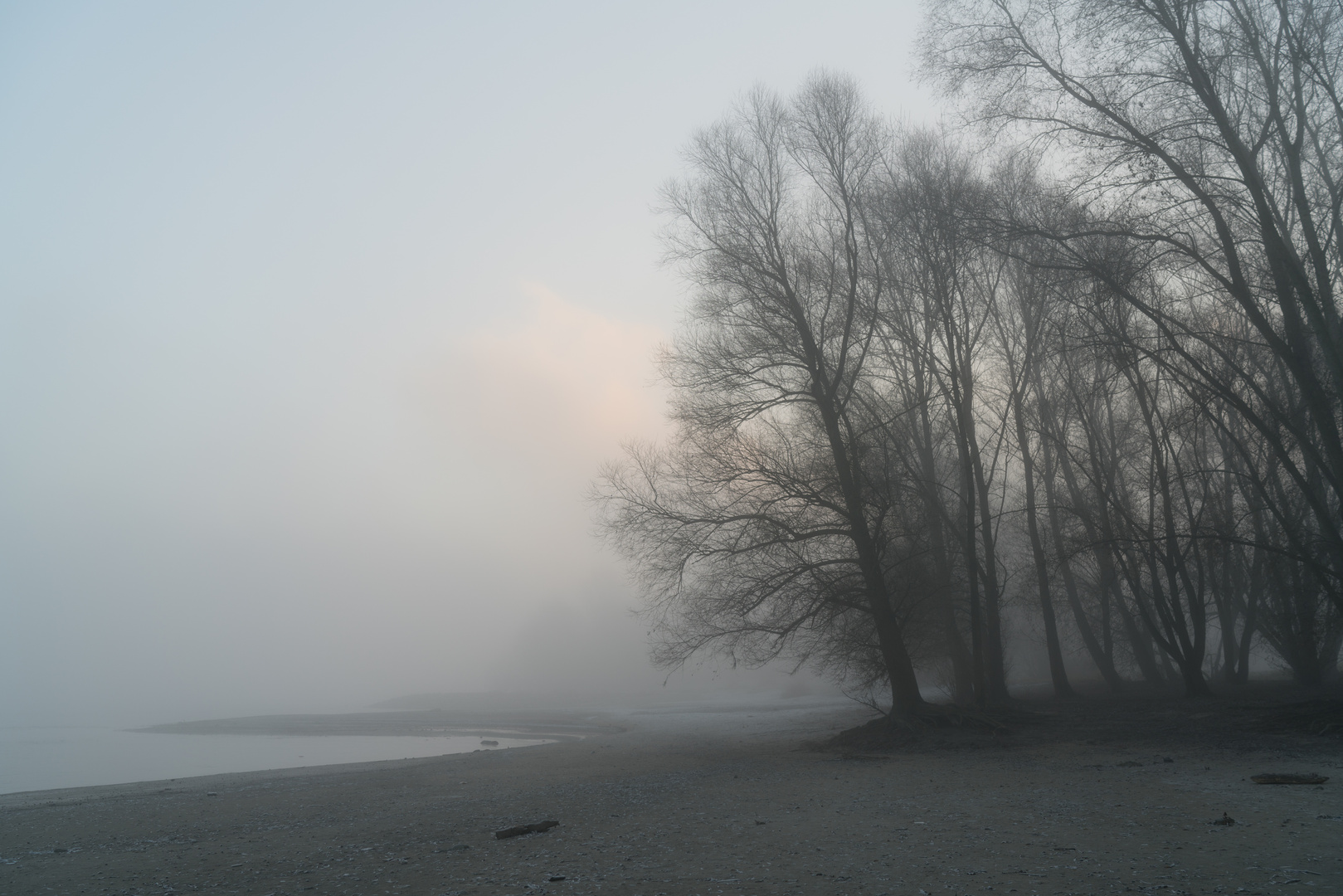 WINTER AM RHEIN