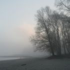 WINTER AM RHEIN