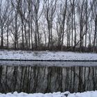 Winter am Rhein