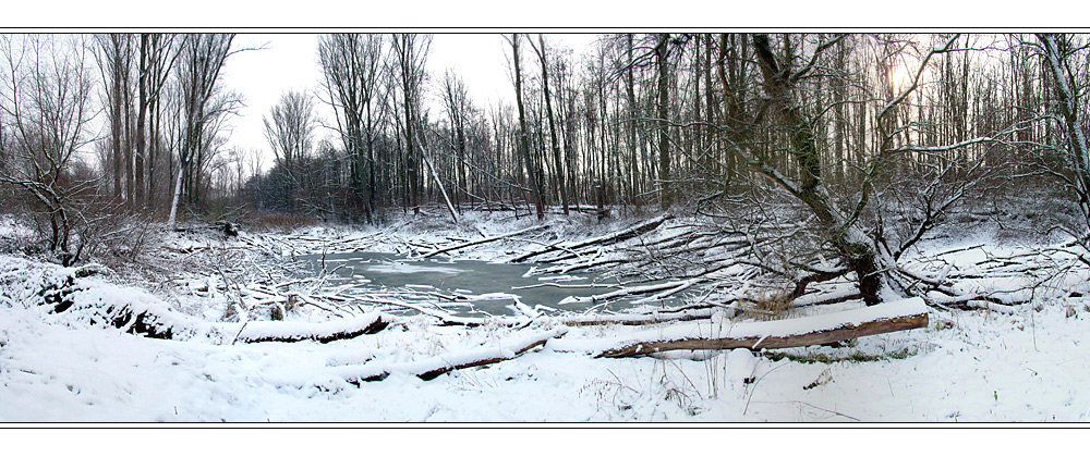 Winter am Rhein