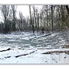 Winter am Rhein