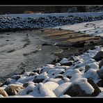 Winter am Rhein