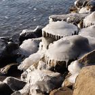 Winter am Rhein