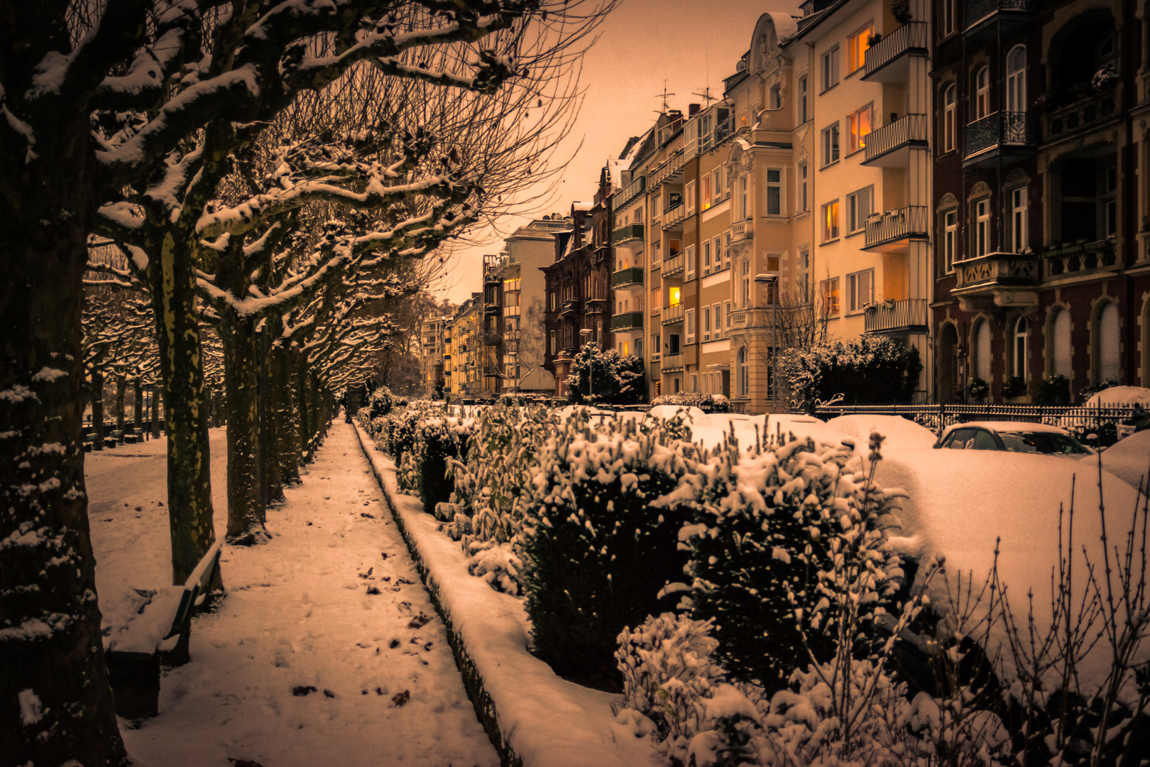 Winter am Rhein