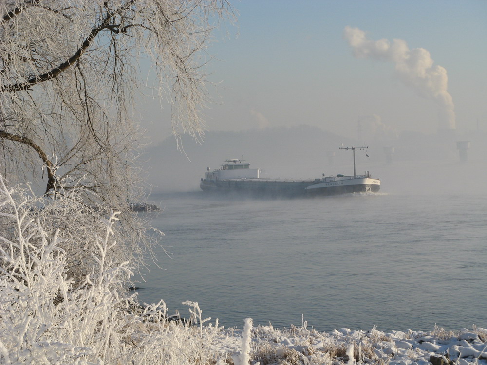 Winter am Rhein