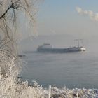 Winter am Rhein