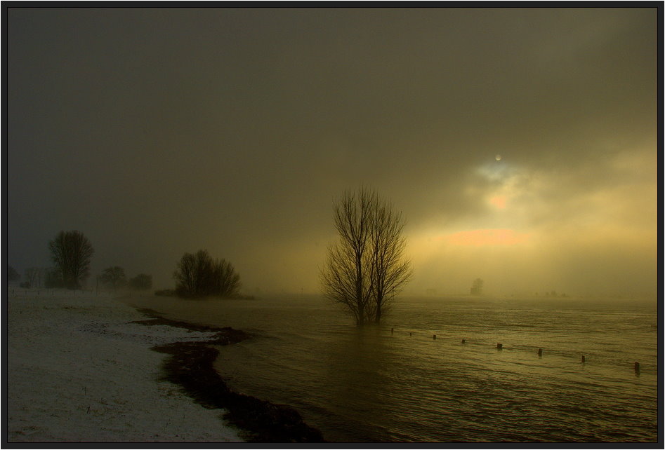 Winter am Rhein