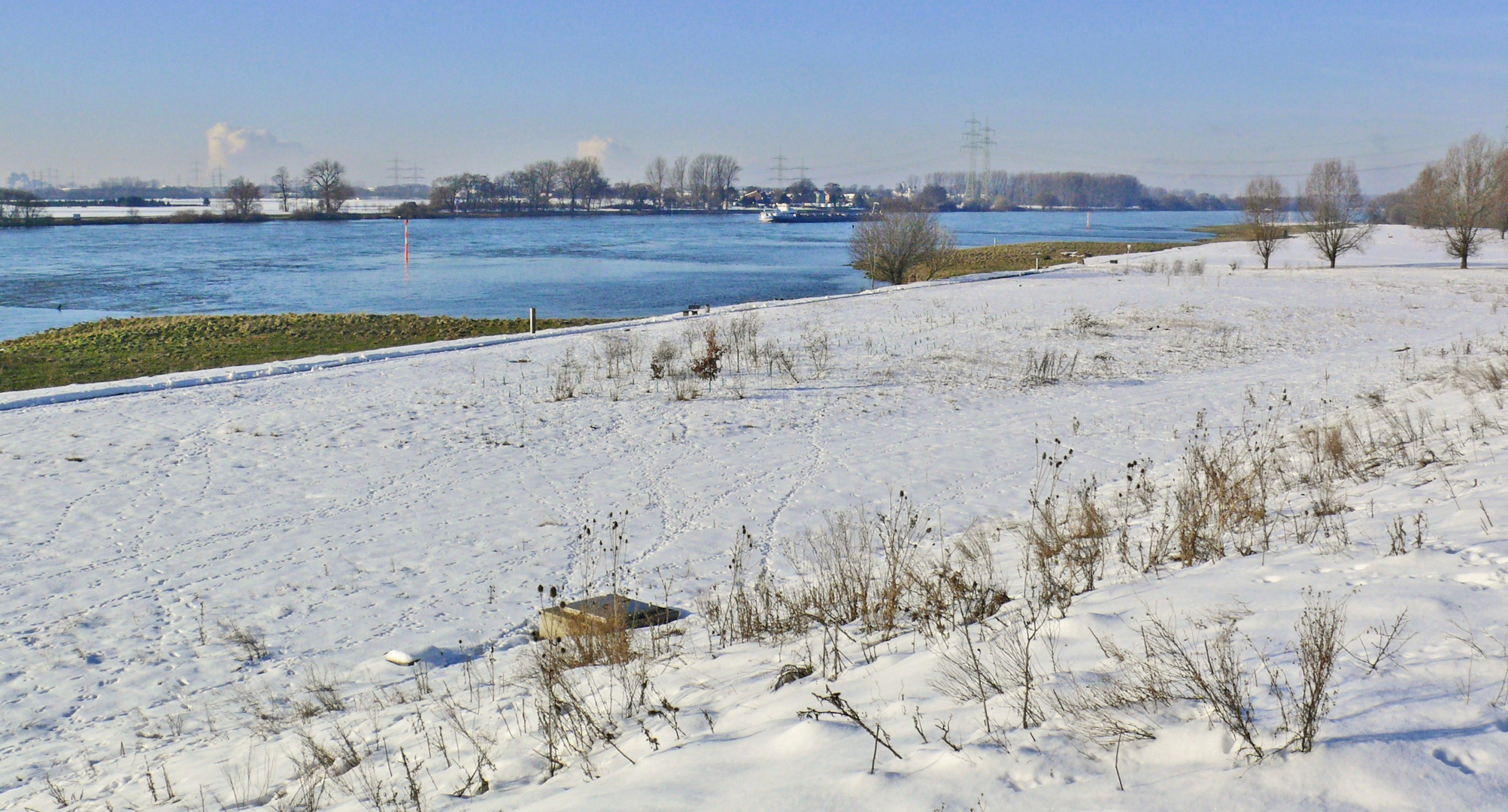 Winter am Rhein bei Leverkusen