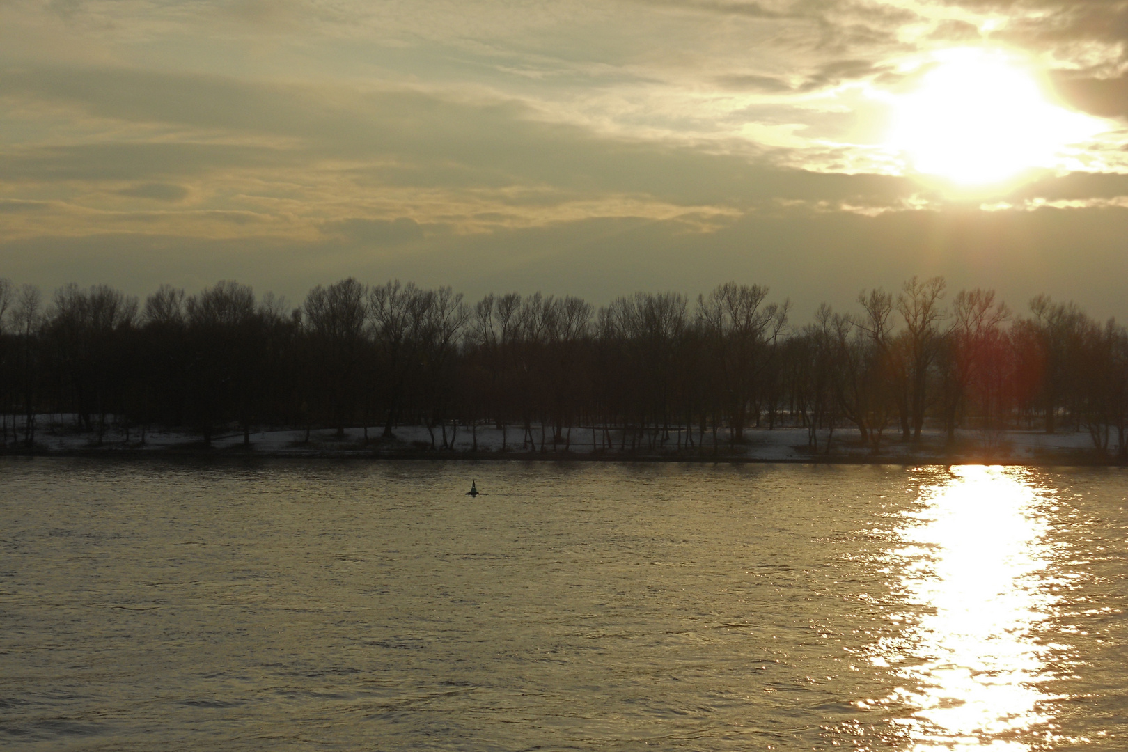 Winter am Rhein