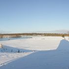 Winter am Rhein