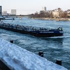 Winter am Rhein - P2110035-1