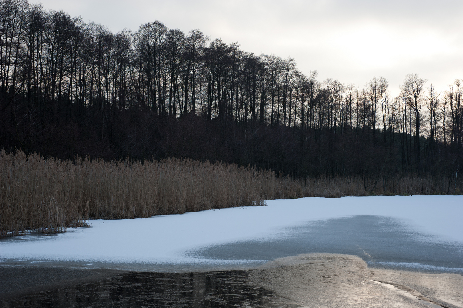 Winter am Riebener See  ( I.)