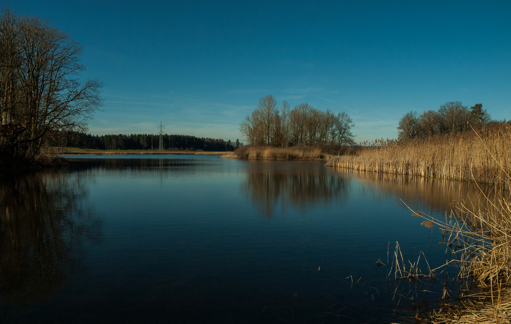 Winter am Rohrer See bei Bad Wurzach