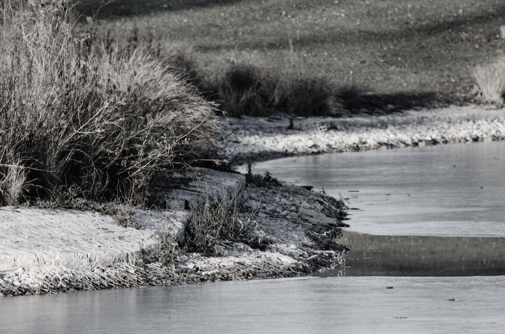 Winter am Rosensteinsee